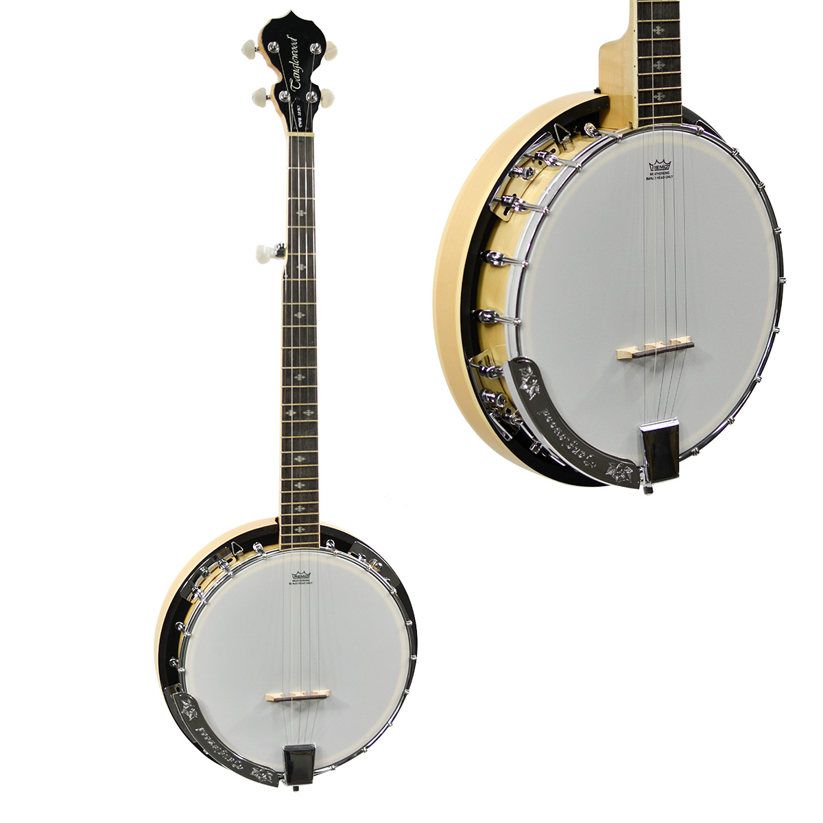 A Tanglewood TWB18-M5 Union 5-string banjo showing a closed wooden resonator back, white Remo Weatherking head, and a geared fifth string tuning peg on the neck.
