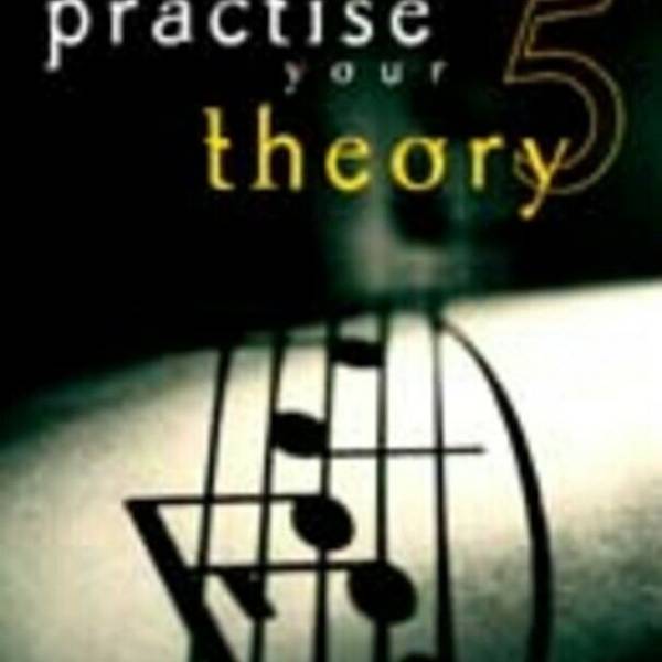 PRACTISE YOUR THEORY GRADE 5 THEORY PRACTICE PAPERS DULCIE HOLLAND