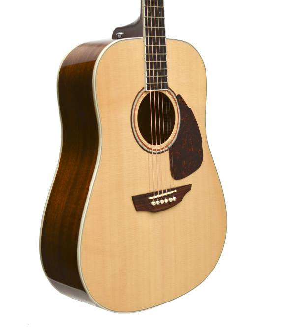SAMICK GUITAR WORKS 300 SERIES DREADNOUGHT SOLID SITKA SPRUCE TOP - S300D