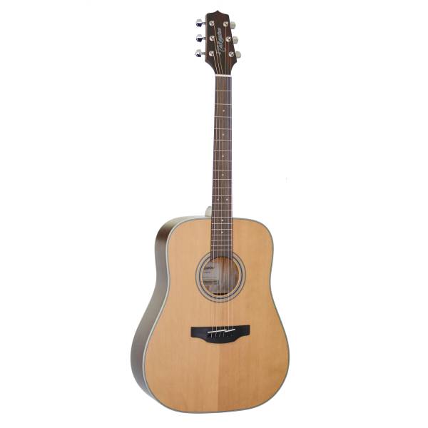 Front view of a Takamine GD20NS dreadnought acoustic guitar featuring a natural wood top and traditional non-cutaway body.