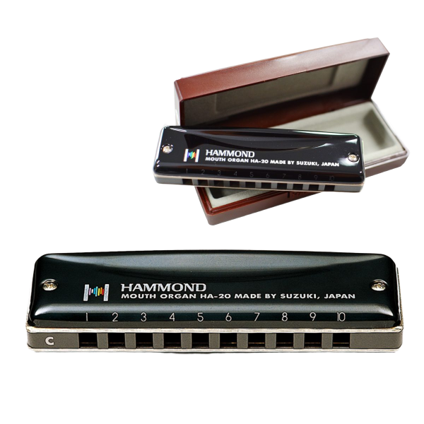 SUZUKI HAMMOND PROMASTER HARP HA-20 10 HOLE DIATONIC HARMONICA