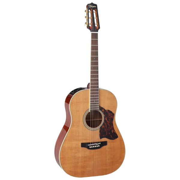 Front view of a Takamine CRNTS1 Thermal Top Series round shoulder acoustic-electric guitar featuring a slightly darkened, baked thermal top.