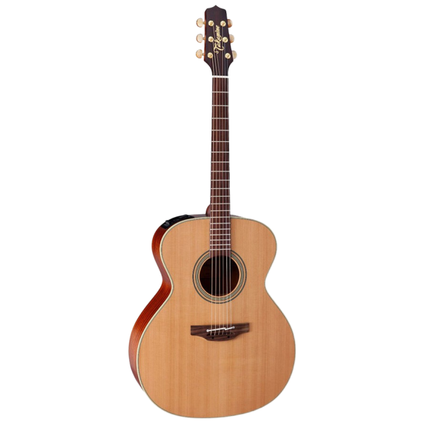 Full-length view of a Takamine TEN20 Natural Series jumbo acoustic-electric guitar featuring a dark solid cedar top and a natural wood finish.