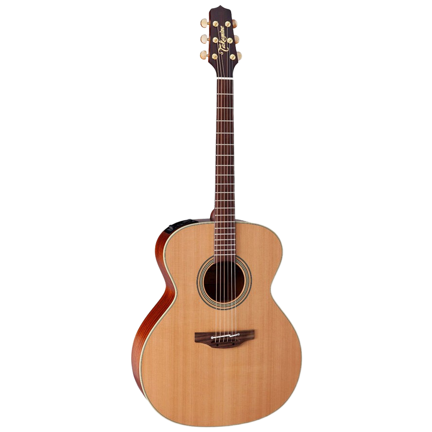 Full-length view of a Takamine TEN20 Natural Series jumbo acoustic-electric guitar featuring a dark solid cedar top and a natural wood finish.