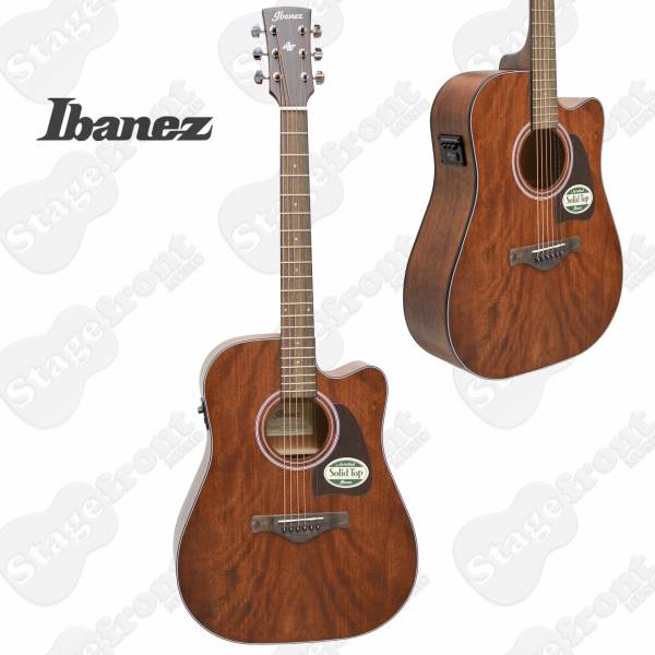 IBANEZ OPEN PORE NATURAL ARTWOOD SERIES DREADNOUGHT AW54CEOPN