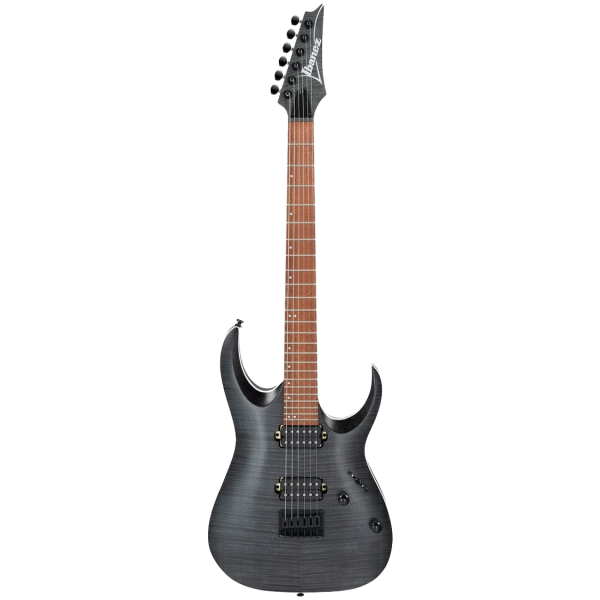 Full frontal view of the Ibanez RGA42FM TGF electric guitar featuring an arched flamed maple top in a transparent gray flat finish, black hardware, dual humbuckers, and a pointed matching headstock, isolated on a white background.