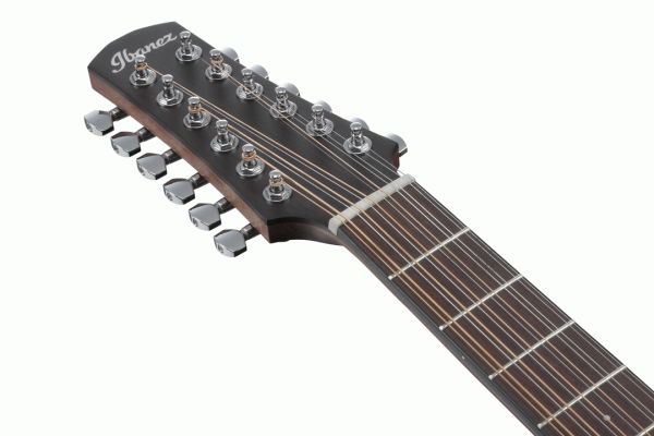 IBANEZ AAD1012E OPN 12 string SOLID SITKA SPRUCE TOP ADVANCED ACOUSTIC GUITAR