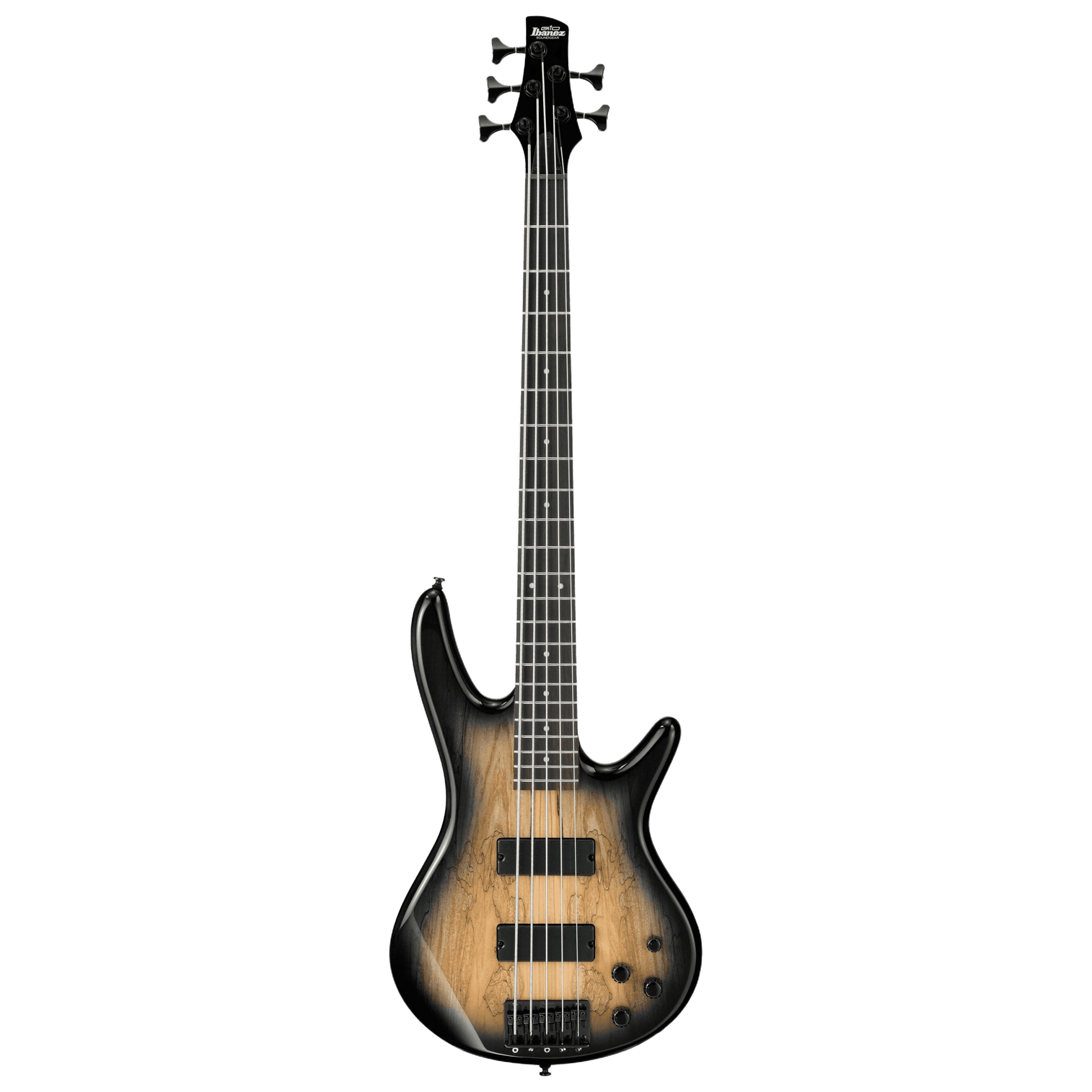 Ibanez SR205SM 5-string bass guitar featuring a Grey Burst spalted maple top and an ultra-slim neck profile.