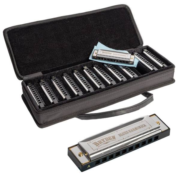 A black zippered carrying case open to reveal twelve Bryden Blues Harmonicas resting in a plush-lined interior, with a blue polishing cloth. Inset shows a close-up of a single Bryden diatonic harmonica with silver cover plates and a black comb.